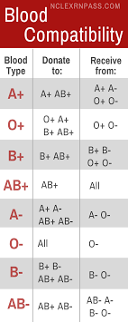 Learning Blood Types Made Easy For Nursing Student Easy