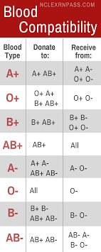 learning blood types made easy for nursing student easy