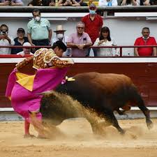 Tarde triunfal en Cali: Joselito Adame indulta y El Fandi corta 4 orejas |  Toreteate.com