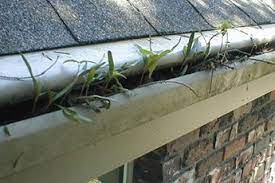 While gutter guards don't create ice or ice dams (that's generally a result of poor ventilation or insulation), the size of the icicles that form off these systems tend to be very large. 5 Types Of Gutter Guards Every Homeowner Should Know About And What To Avoid New Hope Window Cleaning Service