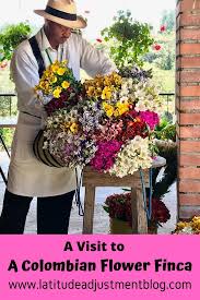 Same day flower delivery to all of brazil. A Visit To A Colombian Flower Finca Colombia Travel Colombian Flowers