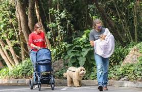 Nepotism Is So Cute Bradley Cooper Casts His Own Rescue Dog In A Star Is Born Bradley Cooper Irina Shayk Bradley Cooper Irina