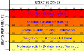 Benefits Of Heart Rate Zone Training