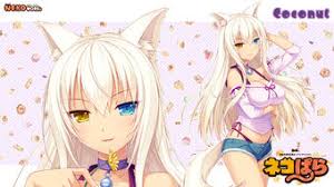 Coconut Nekopara Wiki Fandom Unfortunately for the cast of nekopara things aren't going so well in their town. coconut nekopara wiki fandom