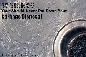10 Things You Should Never Put Down Your Garbage Disposal In Large Quantities Moderation Is Key Garbage Disposal Cooking With Coconut Oil Cooking Pork Chops