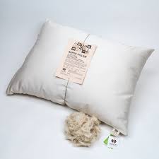 Maybe you would like to learn more about one of these? The 10 Best Natural Pillow Alternatives Apartment Therapy