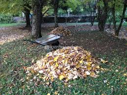 Votre abonnement n'a pas pu être pris en compte. Recycler Les Dechets Du Jardin Feuilles Tontes Branches