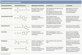 list of neurotransmitters examples and forms