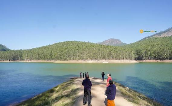 Eco Point Munnar