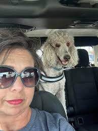 Good snowy morning from SPIN alumni Winnie (aka Sleepy Poodle!)