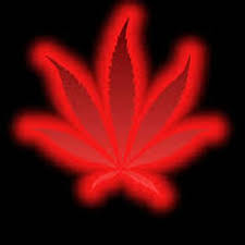 Weed killer & garden pest control. Weed Wallpapers Weedwallpapers Twitter