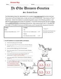 Unicorn Genetics Sex Linked Traits Punnett Squares Worksheet Genetics