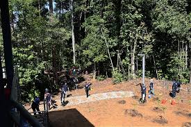 Training ground pmpp 81 km. Galeri Anugerah Perkhidmatan Cemerlang Album Majlis Pelancaran Sri Gumum Cyber Cube Dan Penanaman Semula Pokok Di Tasik Chini Rizab Biosfera Unesco Oleh Yb Timbalan Menteri Di Pusat Penyelidikan Tasik Chini