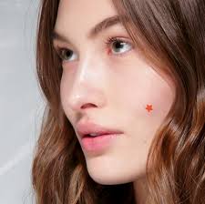 Beyond the unsightly look, this type of pimple is extremely uncomfortable, hard to get rid of, and to add to the confusion, it might not even be a pimple at all—it could be a cold sore. Here S How To Make A Breakout Invisible In Less Than 1 Hour