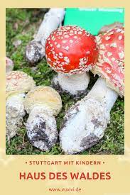 haus des waldes stuttgart mit kindern ausfluge mit kindern ausflug