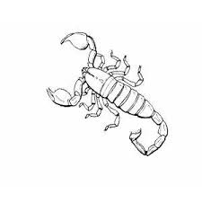 Find printable alphabet letter patterns, blank chore charts, and coloring pages for kids. Scorpion Coloring Page