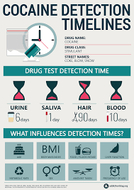 Std, sti, routine, general, drug, alcohol, titers, thyroid Cocaine Detection Timelines Infographic