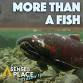More Than a Fish: Stories of Salmon and - 215 Cascade Ave Event Image