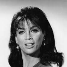 Watch The High Chaparral (1967) TV Series Online