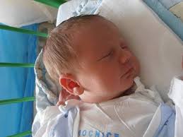 Fotogalerie: Miminka z Českobudějovicka