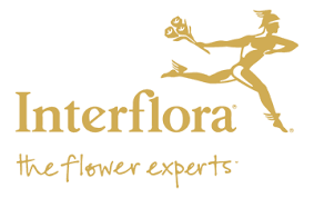 Check spelling or type a new query. Https Xn Ppettider Z7a Nu Interflora Strandviks Blommor Vingaker Uaympqzn