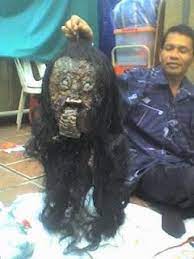 Bentuknya menyerupai muka manusia dan kedua. Koleksi Video Gambar Cerita Hantu Hantu Raya Facebook