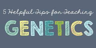 5 Helpful Tips For Teaching Genetics - Biology Roots