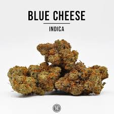 THCa Hemp Flower, Blue Cheese | The Hemp Company - The Original Hemp  Dispensary
