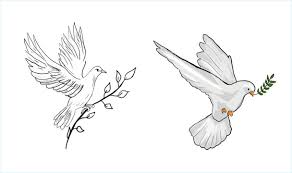 Dove With Olive Branch Images – Browse ...
