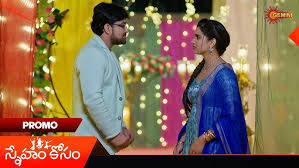 TL - Sneham Kosam