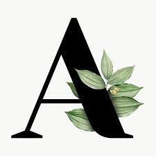 Alphabet supports and develops companies applying technology to … Botanical Capital Letter A Transparent Png Premium Image By Rawpixel Com Aum Alphabet Wallpaper Lettering Alphabet Fonts Lettering