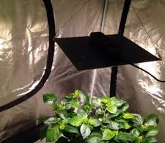 Hlg 100 V2 Cheap Led Grow Light Time Lapse Pictures In 2020 Led Grow Lights Grow Lights Growing Plants