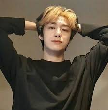 It's not meant to be taken seriously. Imagià¸—yes Msà¸—sta X Monsta X Wonho Monsta X Hyungwon Hyungwon
