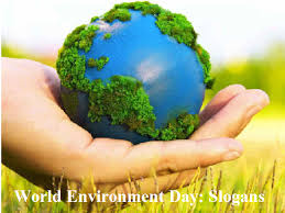 There are many unnatural factors that imbalances the ecological system that we are not aware of. World Environment Day 2021 29 Best Slogans To Spread The Awareness