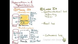 Image result for Hypochloremia