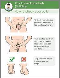 Your male dog will honestly not mind, and it's up to you whom you tell about it. How To Check Your Balls Testicles Dr Njobvu Pharmacy Facebook