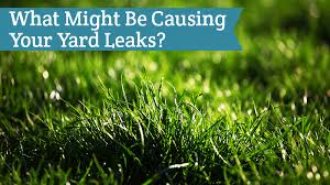 How do i check for a water leak? What Might Be Causing Your Yard Leaks Crawford Mech