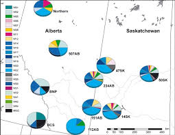 Pie Charts Indicate The Distribution Of White Tailed Deer