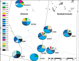 pie charts indicate the distribution of white tailed deer