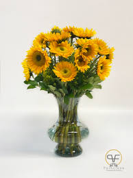 Overview hospital quality patient experience providers reviews locationxx. Miami Springs Florist Miami Springs Fl Flower Shop Poinciana Flowers