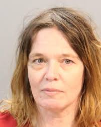 Knox County arrest records available online