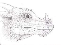 Fully Scaled Dragon Face By Rebeccannoying Jpg 900 670 Dragon Face Dragon Drawing Dragon Scale