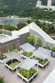 Hongkong Is Calling Zwischen Hightech Und Urban Gardening A Vertical Garden Calling Garden Garde In 2020 Roof Garden Design Rooftop Garden Urban Urban Garden