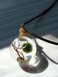 This Soothing Scene Marimo Moss Ball Terrarium Necklace Marimo