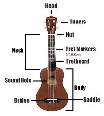 Limited time sale easy return. Best Ukulele For Beginners In 2021 Techlifeland