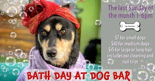 Bring new and gently used dog items, food, new toys, leashes, and collars to dog bar this week! Home The Dog Bar