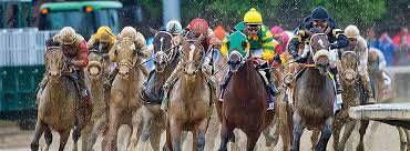 With the 146th annual kentucky derby right around the bend, we're bringing you a list of things you might not have known about the iconic horse race. The Kentucky Derby Book Home Facebook