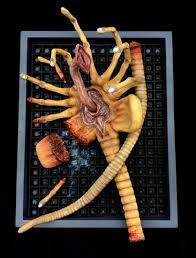 Alien Damaged Facehugger Wall Hanger 1/1 Scale Replica Art Piece Alien  Damaged Facehugger Wall Hanger 1/1 Scale Replica Art Piece [29AHC01] -  $1,379.99 : Monsters in Motion, Movie, TV Collectibles, Model Hobby