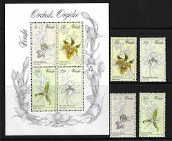 Image result for Eulophia fridericii