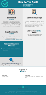Correct Spelling For Ferret Infographic Spellchecker Net